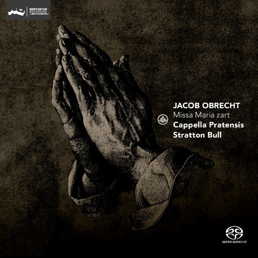 黃色成人❌❌❌大片爱恋视频网站
